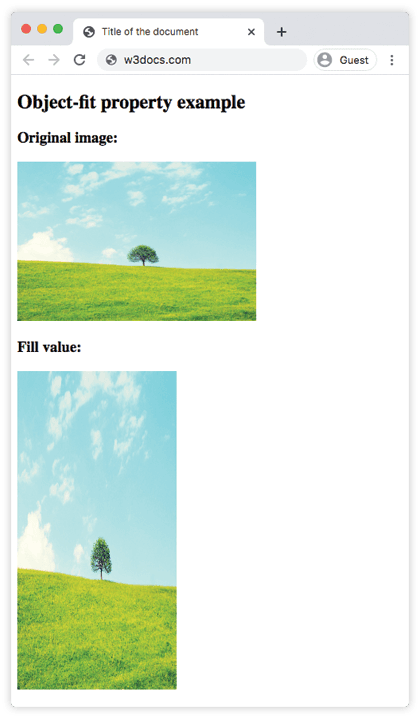 La valeur fill de CSS object-fit qui étire une image
